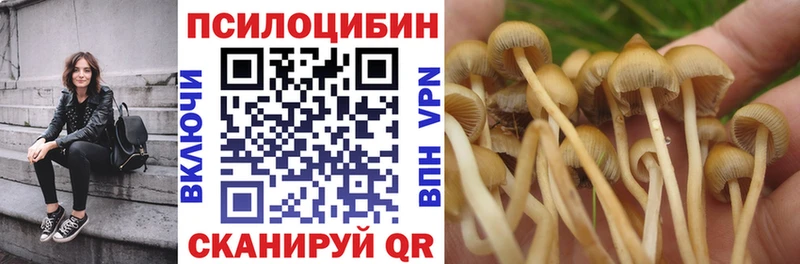 Галлюциногенные грибы GOLDEN TEACHER Заринск